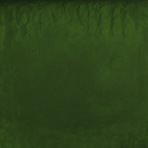 ORGANIC CHLORELLA, cracked cell, powder